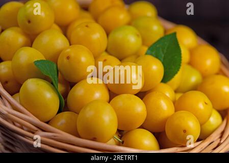 Prunes cerises jaunes, Prunus cerasifera, en panier Banque D'Images