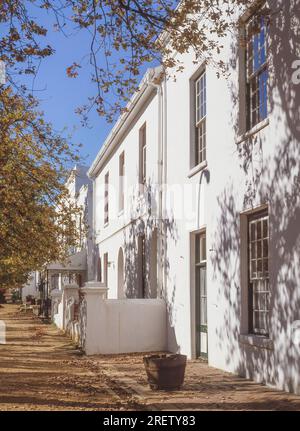 Dorp Street est une rue pittoresque bordée de chênes à Stellenbosch, Western Cape, Afrique du Sud. Banque D'Images