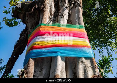 Un grand arbre à Bangkok, en Thaïlande a été enveloppé par sept couleurs tissu pour adorer les dieux dans l'arbre. Banque D'Images