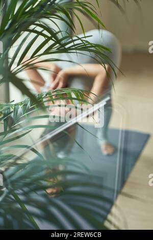 D'en haut à travers la vue en verre de la femme anonyme pleine récolte du corps pratiquant le yoga dans Pyramid pose sur le tapis près du palmier vert dans le studio Banque D'Images