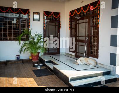 Chien de garde blanc de l'Himalaya repose sur le porche dans une maison indienne. 28 juin 2022, Uttarakhand, Inde. Banque D'Images