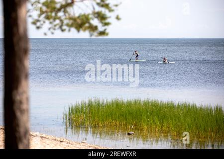 Touristes se relaxant sur des planches de paddle près de la plage de sable sur une belle journée ensoleillée d'été sur l'île de Kihnu, mer Baltique, Estonie Banque D'Images