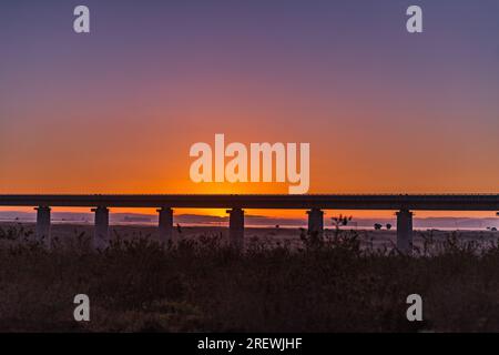 Parc national de Nairobi Kenya Standard Gauge Railway Line SGR Bridge piliers en béton dans le parc national de Nairobi Kenya Capital East Africa Morning beautif Banque D'Images