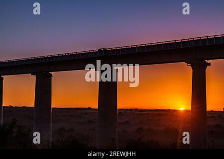 Parc national de Nairobi Kenya Standard Gauge Railway Line SGR Bridge piliers en béton dans le parc national de Nairobi Kenya Capital East Africa Morning beautif Banque D'Images