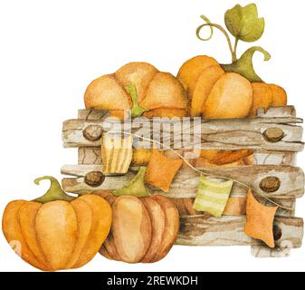 Citrouilles d'automne dans la peinture aquarelle de dessin animé de boîte en bois. Les légumes orange d'automne récoltent le dessin aquarelle Banque D'Images