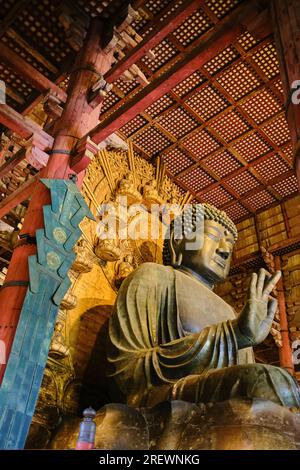 2023 juillet, Nara. La statue du Grand Bouddha Daibutsu à l'intérieur du Temple Todaiji Banque D'Images