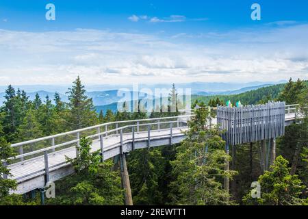 Sentier de randonnée de la canopée forestière au-dessus de la cime des arbres, aventure en plein air sur Rogla, Slovénie Banque D'Images