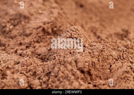 une grande pile faite de poudre de fève de cacao pour faire du chocolat ou d'autres bonbons, une netteté sélective et une petite profondeur de champ, la poudre de cacao est utilisée dans Banque D'Images