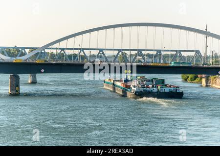 Le Rhin entre Strasbourg et Kehl vu du jardin des deux rives. Bas-Rhin, collectivite européenne d'Alsace,Grand est. Banque D'Images