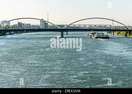 Le Rhin entre Strasbourg et Kehl vu du jardin des deux rives. Bas-Rhin, collectivite européenne d'Alsace,Grand est. Banque D'Images