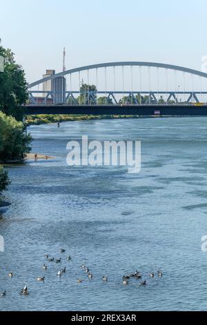 Le Rhin entre Strasbourg et Kehl vu du jardin des deux rives. Bas-Rhin, collectivite européenne d'Alsace,Grand est. Banque D'Images