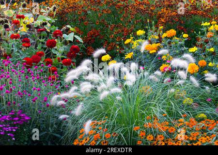 Fleurs de jardin d'été plantes colorées fleurs de jardin mélange belle fleur bordure de fleurs jardin fleuri fleurs colorées bordures riches et luxuriantes Banque D'Images