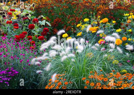 Fleurs de jardin d'été plantes colorées fleurs de jardin Mixed Beautiful Flower Border Flower Garden Blooming fleurs colorées bordures de parterre de fleurs colorées Banque D'Images