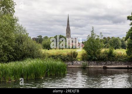 Cathédrale de Salisbury vue de Harnham Water Meadows, Salisbury, Wiltshire, Angleterre, Royaume-Uni Banque D'Images