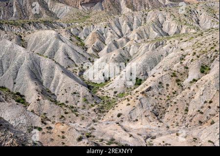 Les Badlands sont des terrains secs formés de roches sédimentaires plus douces (argile), faciles à éroder par l'eau ou le vent. Cette photo a été prise à Desierto de Tabernas Banque D'Images