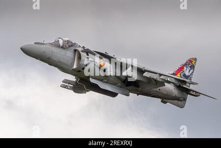 McDonnell Douglas EAV-8B+ Matador II Harrier, Escuadrilla 009 Marine espagnole, Rota. Banque D'Images