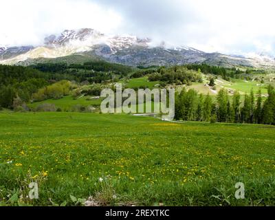 Paysage rural avec champs et arbres en face du massif du Dévoluy dans les Hautes-Alpes en France. Banque D'Images