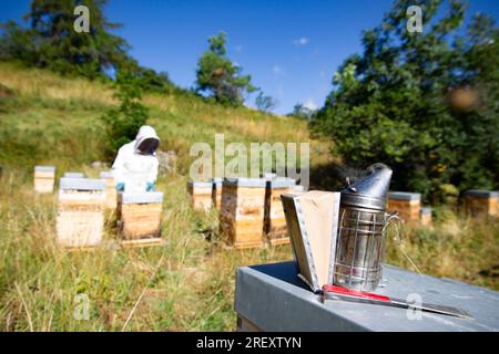 Le Monetier les bains, France. 30 juillet 2023. Le fumoir de l'apiculteur est placé sur une ruche, au Monetier-les-bains, France, le 30 juillet 2023. Nathalie, qui est la troisième génération d’apiculteurs de sa famille, a repris l’apiculture après avoir travaillé comme gérante d’un magasin de bricolage. Photo de Thibaut Durand/ABACAPRESS.COM crédit : Abaca Press/Alamy Live News Banque D'Images