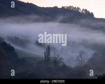 Brouillard matinal, Ucieda, Parc naturel de Saja-Besaya, Cantabrie, Espagne Banque D'Images