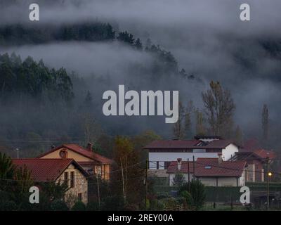 Brouillard matinal, Ucieda, Parc naturel de Saja-Besaya, Cantabrie, Espagne Banque D'Images