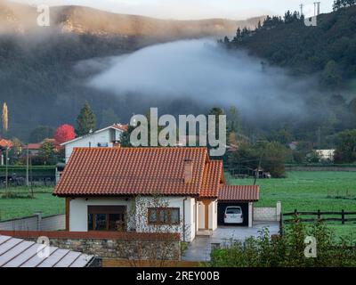 Brouillard matinal, Ucieda, Parc naturel de Saja-Besaya, Cantabrie, Espagne Banque D'Images