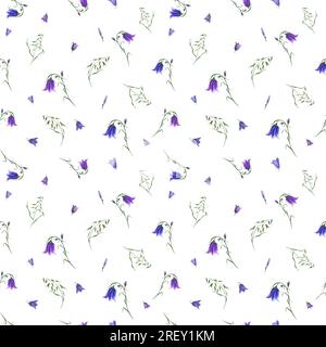 Bluebells, avoine sauvage isolé sur fond blanc. Motif floral sans couture avec campanula en fleurs. Illustration aquarelle pour affiche, scrapbooking Banque D'Images