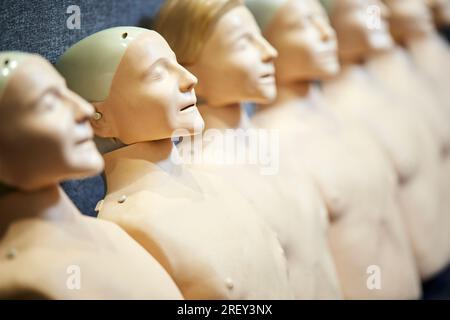 Mannequins de réanimation ficatifs de RCP pour la formation Banque D'Images