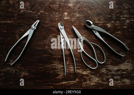 Outils Bonsai sur une vue de dessus de table en bois rustique à la lumière naturelle. Cisailles Bonsai, coupe-fil, coupe-fil concave et pinces jin en acier inoxydable Banque D'Images