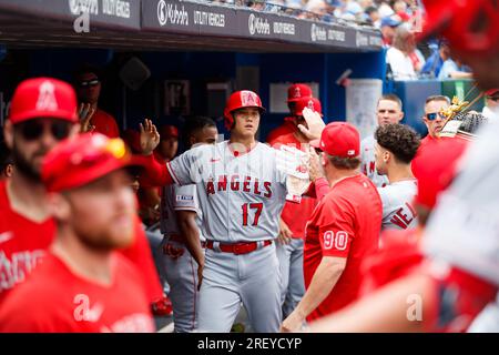 Shohei Ohtani (C) celebrates his third-inning home run with Los Angeles  Angels teammate Brett Phillips (L), holding a samurai warrior helmet,  during a baseball game against the Toronto Blue Jays at Angel