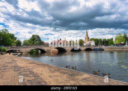 UK, Bedford, 5 juillet 2023, éditorial, vue de la ville, du bord de la rivière au-dessus du pont, oie égyptienne et cygne au premier plan Banque D'Images