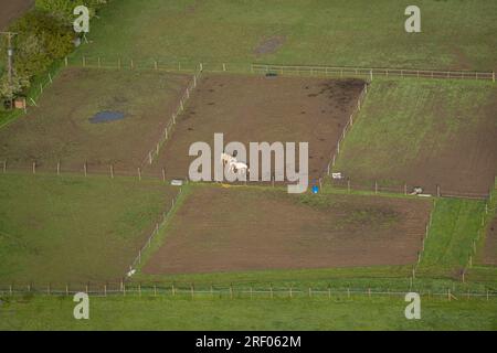 Vue aérienne des paddocks à cheval dans la campagne dans le Kent, Royaume-Uni Banque D'Images