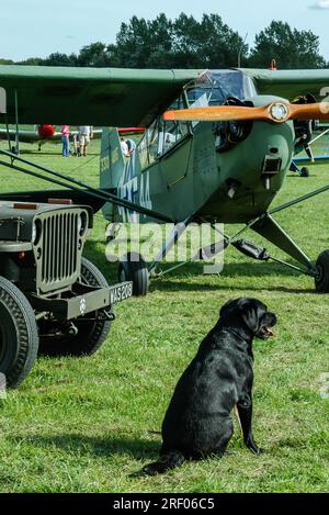 Avion Piper Cub en temps de guerre avec US Willys Jeep & Dog. Willys MB véhicule de guerre et avion Spotter lors d'un événement de vol Wings & Wheels à l'aérodrome de Turweston Banque D'Images