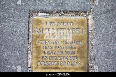 Hambourg, Allemagne. Plaque en laiton à un homme juif arrêté en 1935-39, castré en 1942, assassiné dans le camp de concentration de Neuengamme dans le nord de l'Allemagne en 1942 Banque D'Images