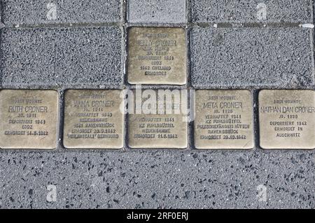 Hambourg, Allemagne. Plaques de laiton (Stolperstein) à la famille juive déportée et assassinée à Auschwitz, Chelmno, Ravensbruck, camp de concentration du ghetto de Lodz Banque D'Images