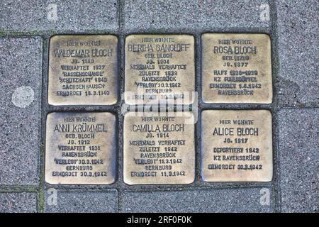 Hambourg, Allemagne. Plaques de laiton (stolperstein) à la famille juive déportée et assassinée dans les camps de concentration de Sachsenhausen, Bernburg et Ravensbruck Banque D'Images