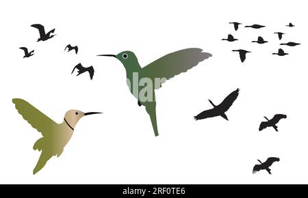 Collection vectorielle Flying Birds Illustration de Vecteur