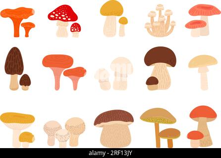 Champignons de bande dessinée isolés, champignon shiitake. Champignon et amanita, truffes et enoki savoureux cru. Ensemble de vecteurs décents de plantes d'automne fraîches de forêt Illustration de Vecteur