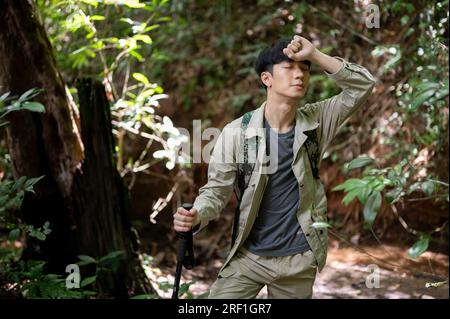 Un randonneur asiatique masculin épuisé avec un sac à dos et de l'équipement de trekking marche à travers la forêt, explore la nature et trekking le week-end. Banque D'Images