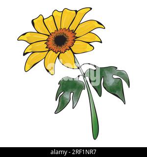 image couleur de l'eau de fleur de souci d'arbre Illustration de Vecteur