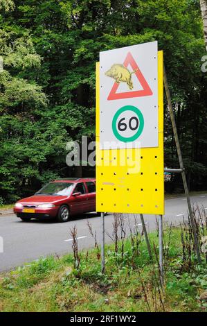 Panneau d'avertissement 'sangliers traversant la route', pays-Bas, panneau de signalisation Banque D'Images