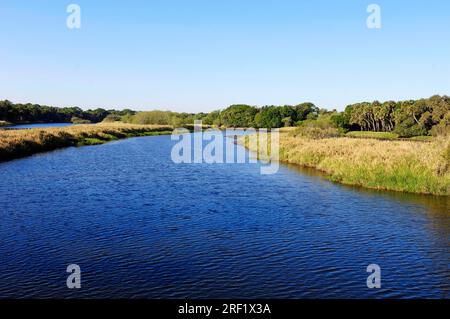 Myakka-Fluss, Myakka-Fluss-Staatspark, Floride, États-Unis Banque D'Images