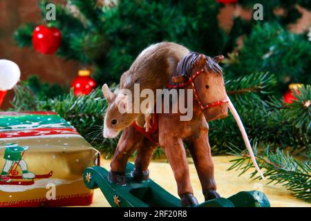 Souris couleur sur cheval à bascule Banque D'Images