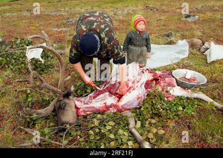 L'homme découpe des rennes abattus, camp de rennes nomades, péninsule du Kamchatka, Kamchatka, camp nomade, Russie Banque D'Images