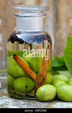 Amers à base de noix, cannelle, clous de girofle, baies de genièvre et eau-de-vie (Juglans regia) Banque D'Images