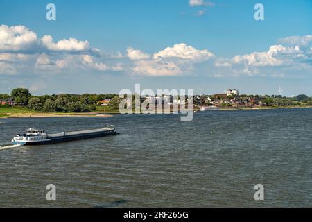 Frachtschiff auf dem Rhein BEI Rees, Niederrhein, Nordrhein-Westfalen, Deutschland, Europa | Cargo sur le rhin près de Rees, Rhin inférieur, No Banque D'Images