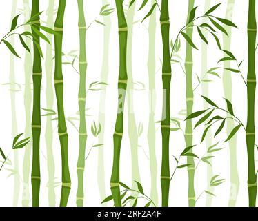 Modèle sans couture avec concept de vecteur de bambou Illustration de Vecteur