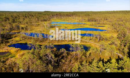 Vue aérienne du lac marécageux Viru Raba en Estonie Banque D'Images