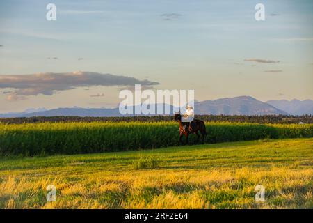 Fille de vingt ans à cheval au coucher du soleil dans le Montana Banque D'Images