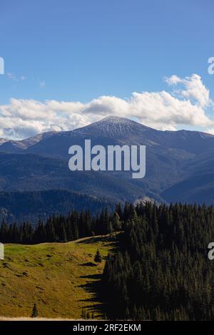 Montagne enneigée avec en toile de fond une forêt de pins et le ciel Banque D'Images