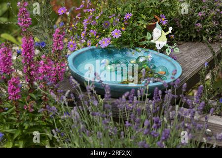 bol à boire pour insectes de jardin avec des billes de verre et de la mousse pour éviter la noyade Banque D'Images